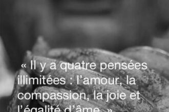 Bouddha et le Bonheur : Citations Positives pour une Vie Épanouie