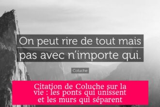 Citation de Coluche sur la vie : les ponts qui unissent et les murs qui séparent