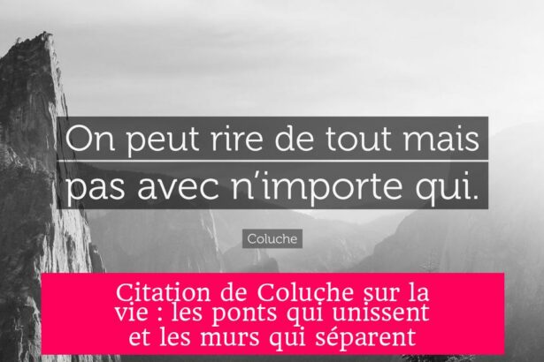 Citation de Coluche sur la vie : les ponts qui unissent et les murs qui séparent