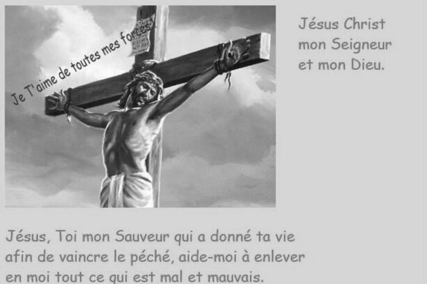 Citations d'encouragement : Trouver force et joie à travers des mots positifs