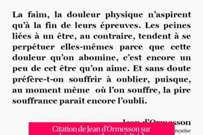 Citation de Jean d'Ormesson sur les roses : mythe ou réalité ? Analyse et thèmes récurrents