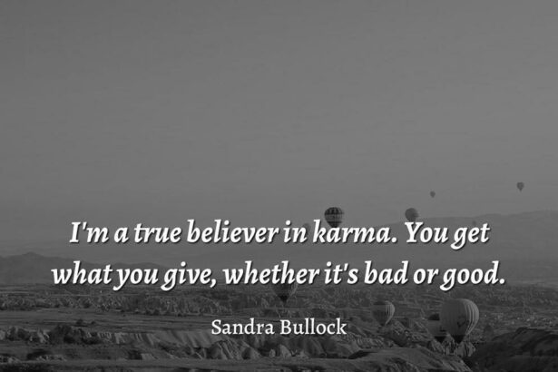 Citation Karma en Anglais : Inspirer et Agir au Quotidien avec les Mots des Grands Penseurs