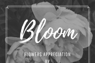 Citation pour offrir des fleurs : Symbolisme, choix des mots et messages pour exprimer l'amitié