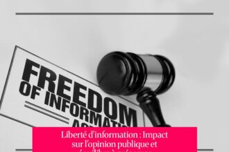 Liberté d'information : Impact sur l'opinion publique et équilibre à préserver