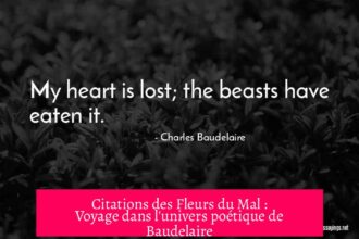 Citations des Fleurs du Mal : Voyage dans l'univers poétique de Baudelaire