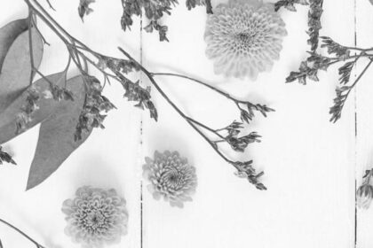 Poème sur les fleurs du jardin : hommage à la nature et symbole du renouveau