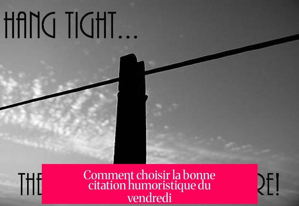 Comment choisir la bonne citation humoristique du vendredi ?