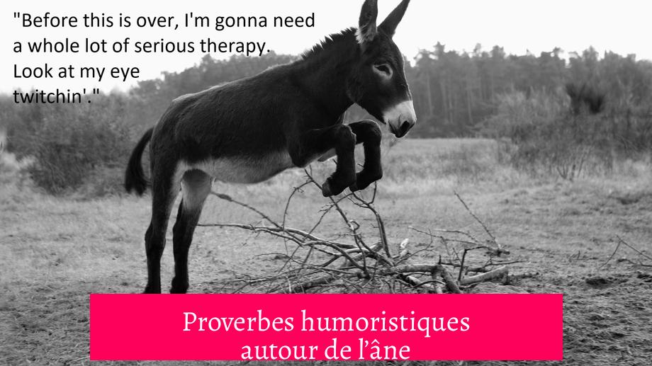 Proverbes humoristiques autour de l’âne