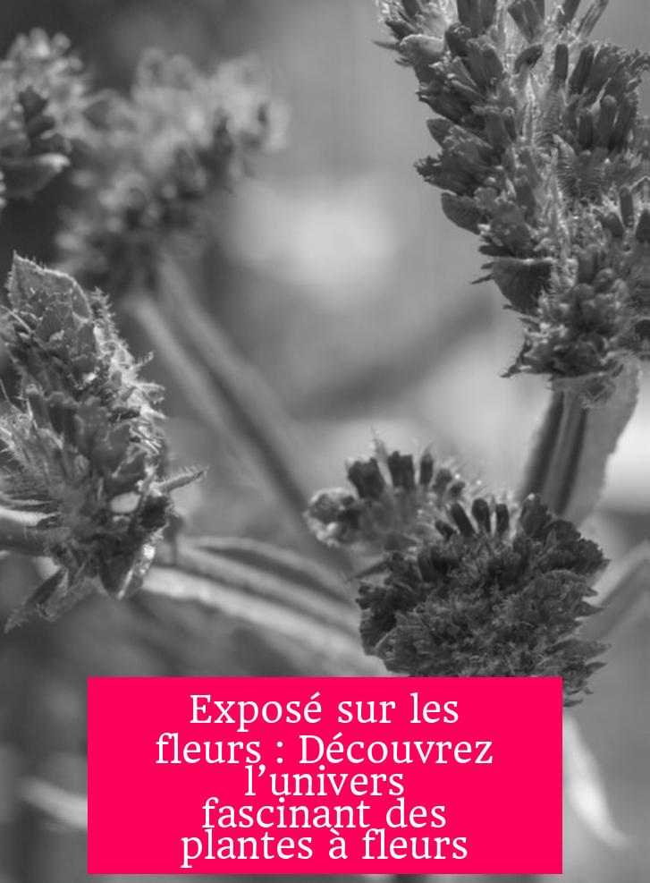 Exposé sur les fleurs : Découvrez l’univers fascinant des plantes à fleurs