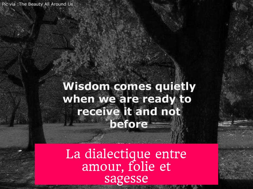 La dialectique entre amour, folie et sagesse