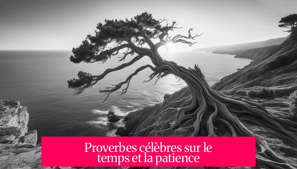 Proverbes célèbres sur le temps et la patience
