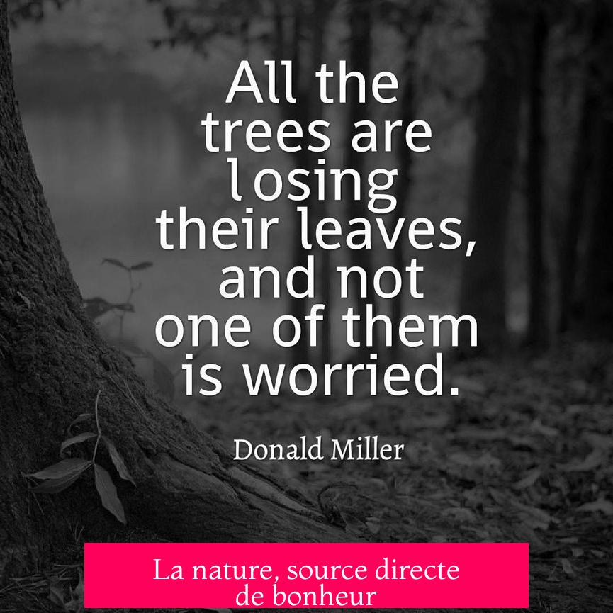 La nature, source directe de bonheur