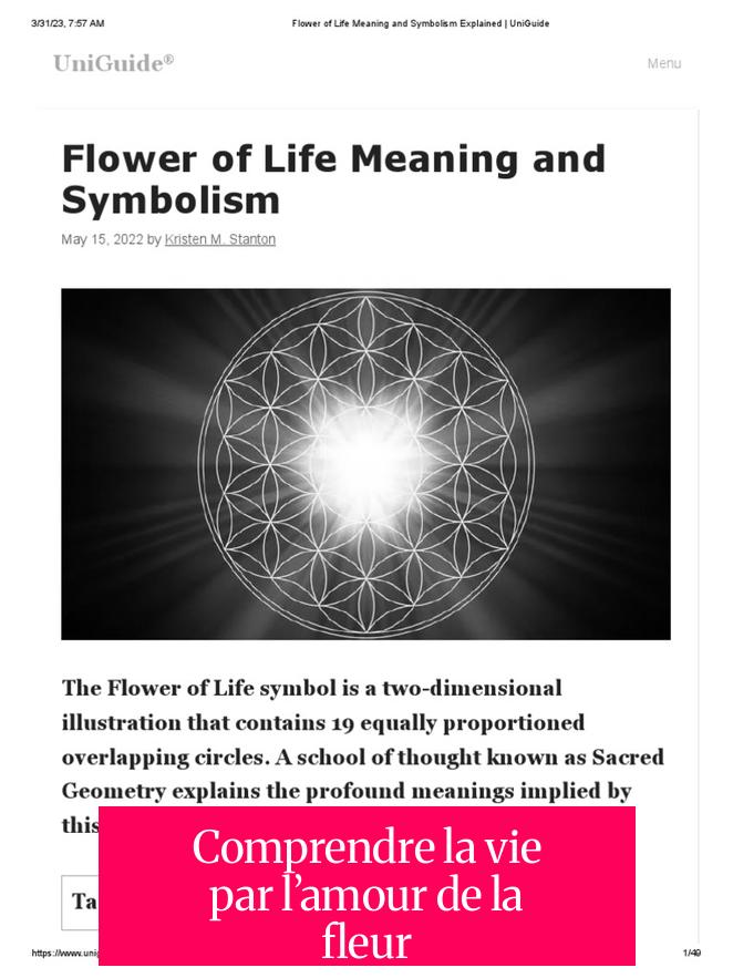 Comprendre la vie par l’amour de la fleur