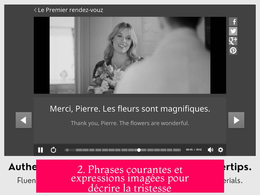 2. Phrases courantes et expressions imagées pour décrire la tristesse