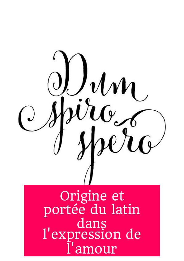 Origine et portée du latin dans l'expression de l'amour