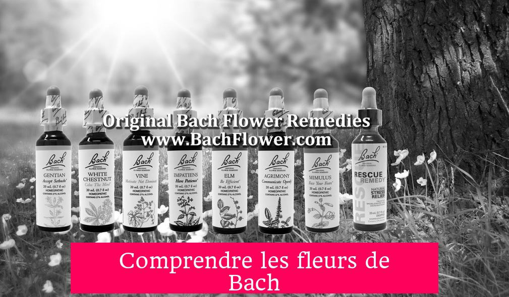 Comprendre les fleurs de Bach