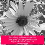Baudelaire, alchimiste des mots : La citation "Tu m’as donné ta boue et j’en fais de l’or" dans Les Fleurs du Mal