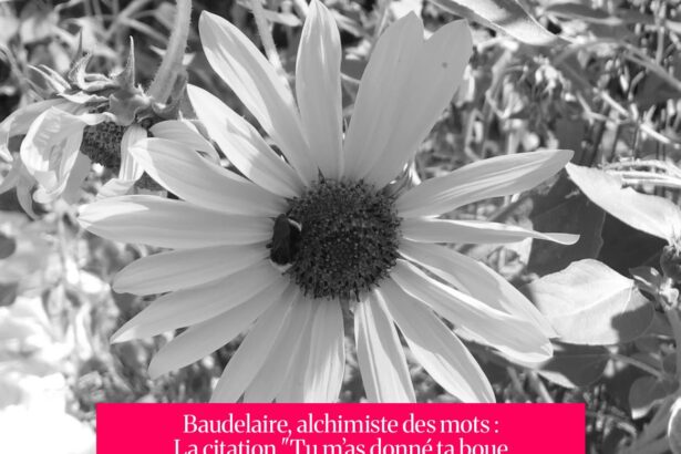 Baudelaire, alchimiste des mots : La citation "Tu m’as donné ta boue et j’en fais de l’or" dans Les Fleurs du Mal