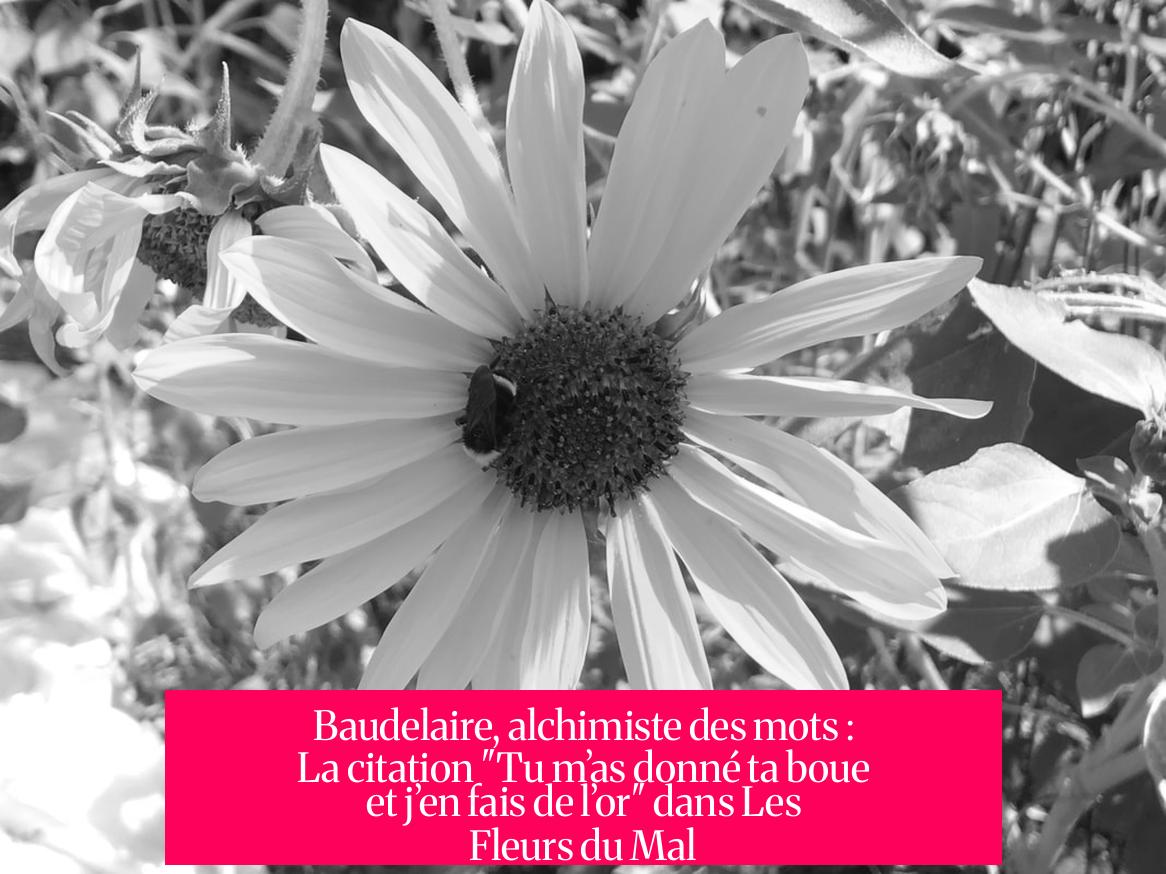 Baudelaire, alchimiste des mots : La citation "Tu m’as donné ta boue et j’en fais de l’or" dans Les Fleurs du Mal