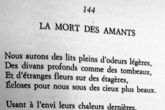 Spleen de Baudelaire : Comprendre le mal-être dans Les Fleurs du Mal et ses échos humains