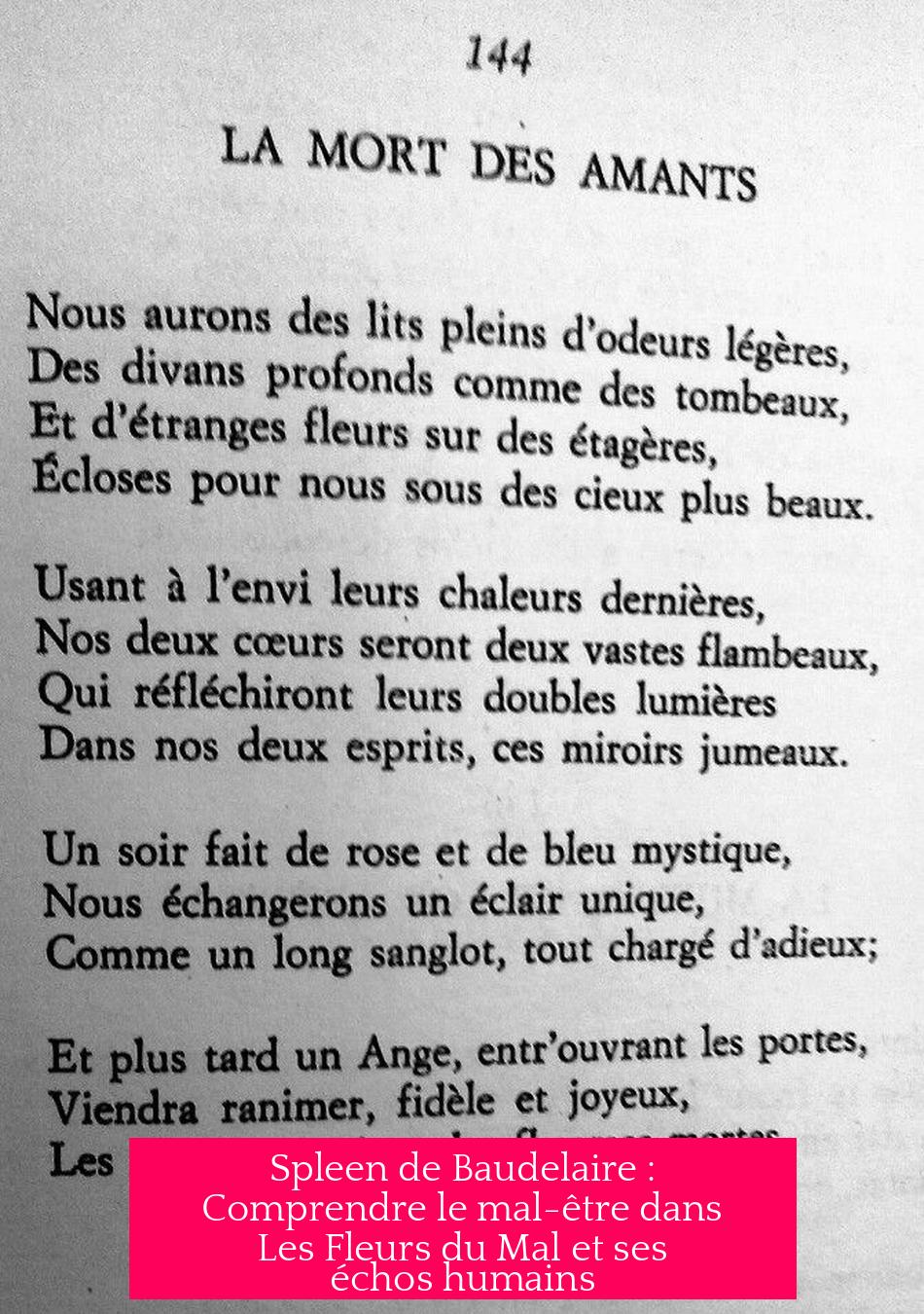 Spleen de Baudelaire : Comprendre le mal-être dans Les Fleurs du Mal et ses échos humains