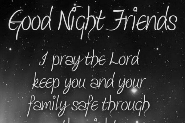 Citations de Bonne Nuit pour l'Amitié : Douceur et Tendresse pour des Rêves Paisibles