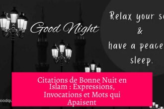 Citations de Bonne Nuit en Islam : Expressions, Invocations et Mots qui Apaisent