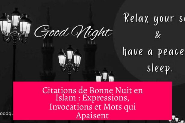 Citations de Bonne Nuit en Islam : Expressions, Invocations et Mots qui Apaisent