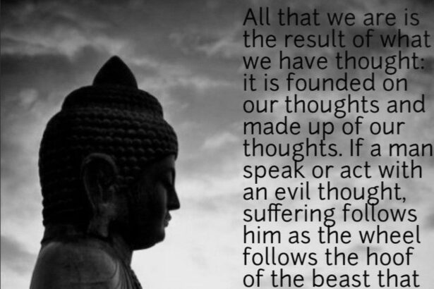 La sagesse du Bouddha : cultivez le bonheur au quotidien par l'altruisme et le partage