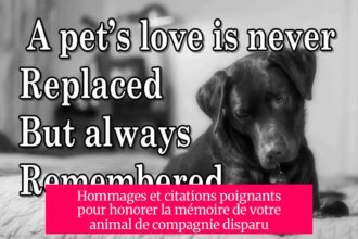 Hommages et citations poignants pour honorer la mémoire de votre animal de compagnie disparu