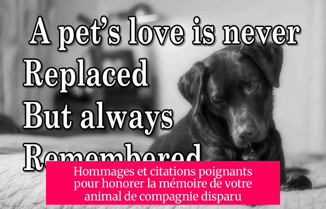 Hommages et citations poignants pour honorer la mémoire de votre animal de compagnie disparu