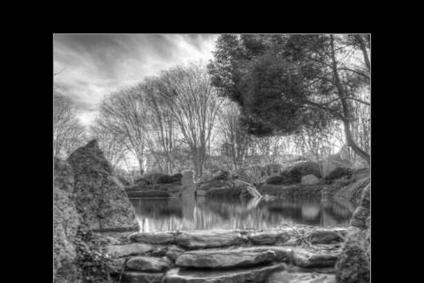 Citations de George Sand sur la nature : entre art, humanité et saisons