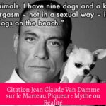 Citation Jean Claude Van Damme sur le Marteau Piqueur : Mythe ou Réalité