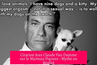 Citation Jean Claude Van Damme sur le Marteau Piqueur : Mythe ou Réalité