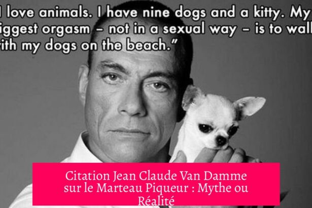 Citation Jean Claude Van Damme sur le Marteau Piqueur : Mythe ou Réalité