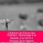 Citations de Fleurs des Champs : Hommage à la Beauté, à la Vie et à l'Amour de la Nature