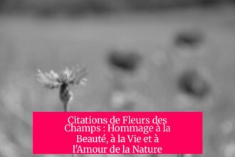 Citations de Fleurs des Champs : Hommage à la Beauté, à la Vie et à l'Amour de la Nature