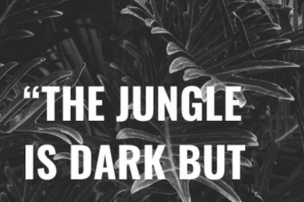 Citations Jungle : Richesse métaphorique et sagesse dans un monde complexe