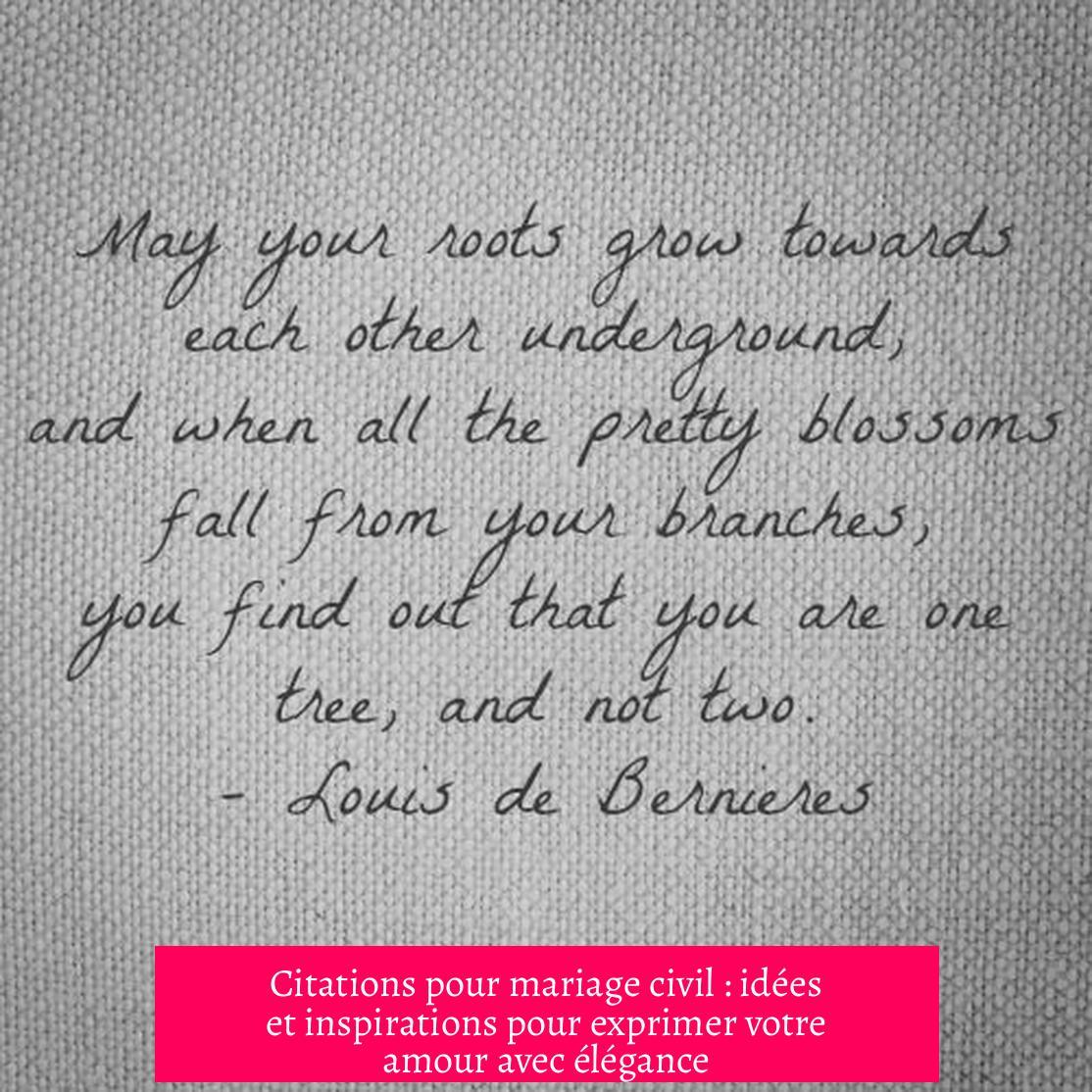 Citations pour mariage civil : idées et inspirations pour exprimer votre amour avec élégance