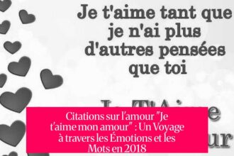 Citations sur l'amour "Je t'aime mon amour" : Un Voyage à travers les Émotions et les Mots en 2018