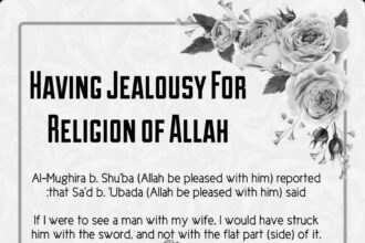 Comprendre la jalousie en Islam : citations, types et conseils pratiques pour gérer ce sentiment