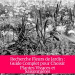 Recherche Fleurs de Jardin : Guide Complet pour Choisir Plantes Vivaces et Saisonnières