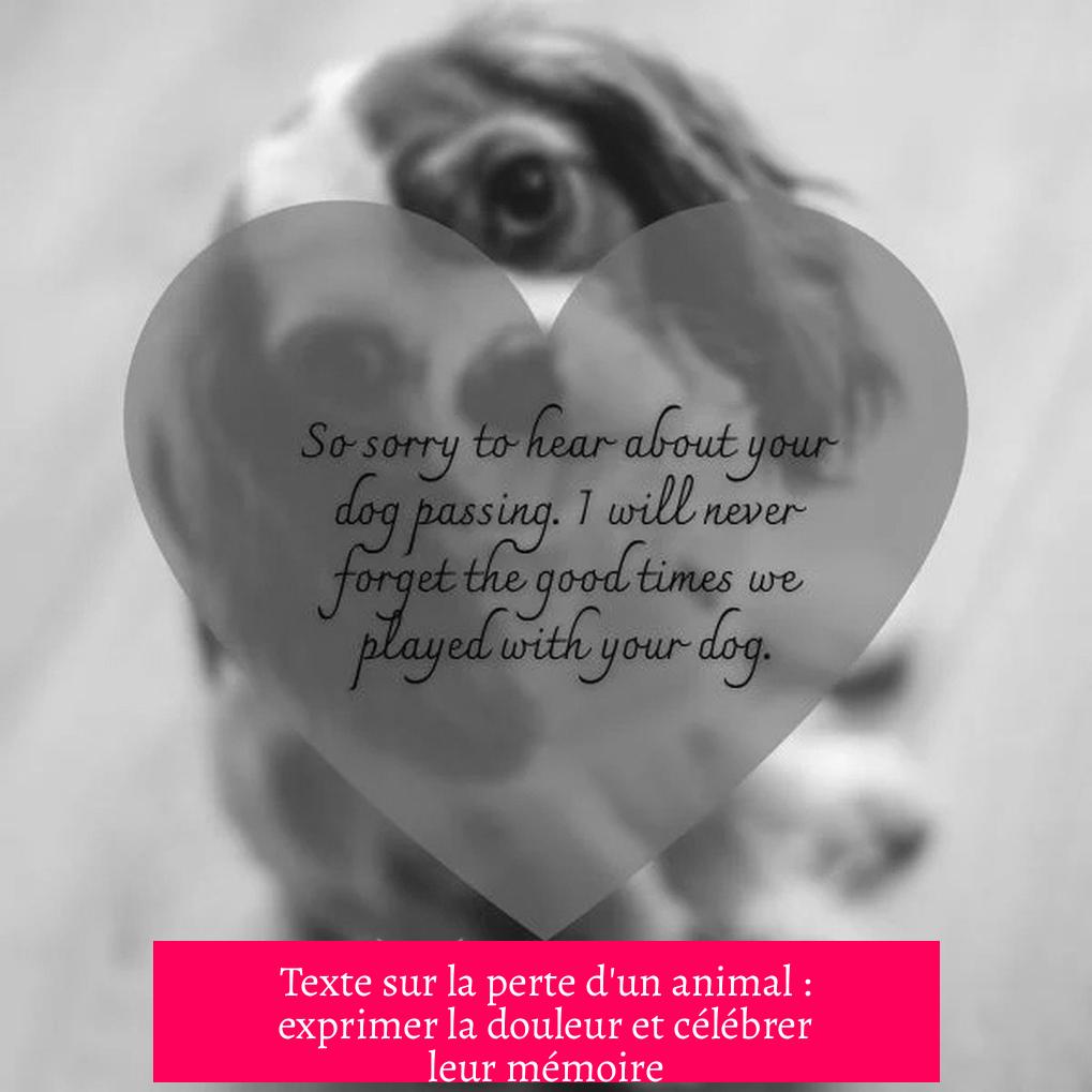 Texte sur la perte d'un animal : exprimer la douleur et célébrer leur mémoire