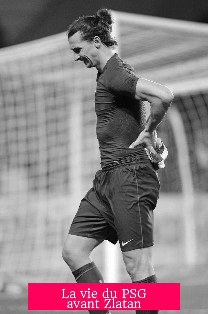 La vie du PSG avant Zlatan