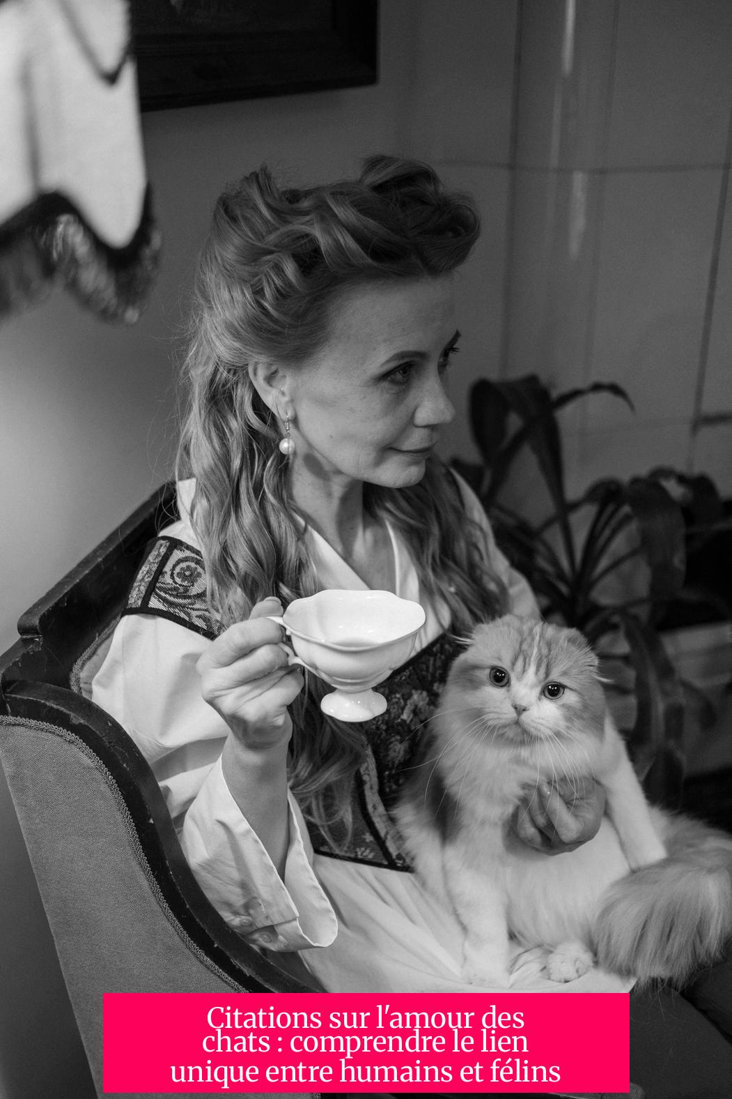 Citations sur l'amour des chats : comprendre le lien unique entre humains et félins