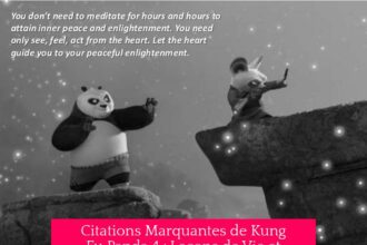 Citations Marquantes de Kung Fu Panda 4 : Leçons de Vie et Impact des Personnages
