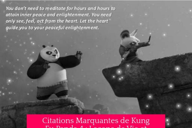 Citations Marquantes de Kung Fu Panda 4 : Leçons de Vie et Impact des Personnages