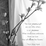Citations de Fleurs de Cerisier : Symbolique et Réflexions Inspirantes