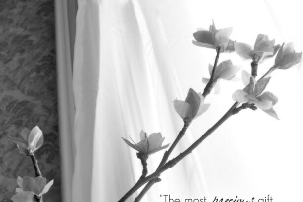 Citations de Fleurs de Cerisier : Symbolique et Réflexions Inspirantes