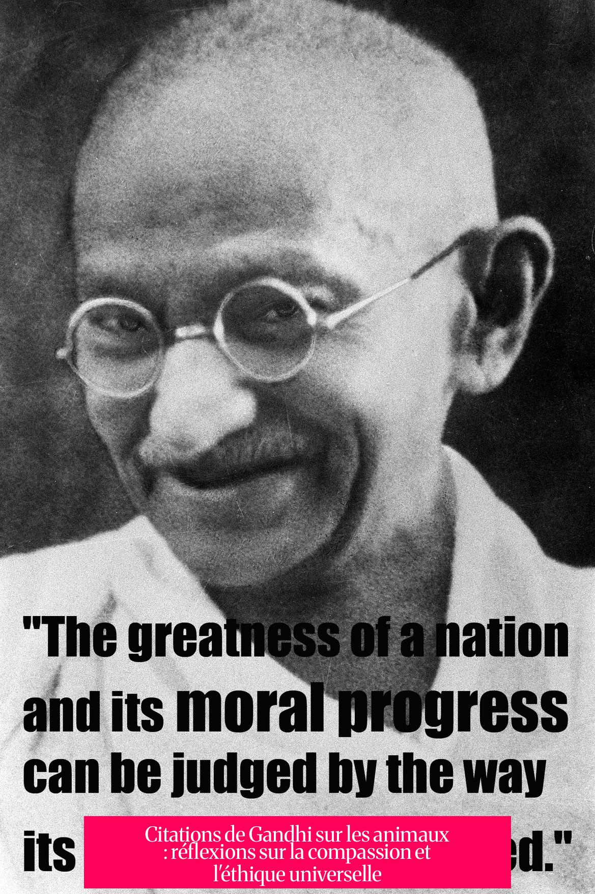 Citations de Gandhi sur les animaux : réflexions sur la compassion et l'éthique universelle